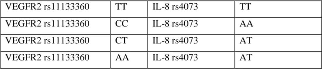 Tabella 7 – Combinazioni di varianti alleliche degli SNPs VEGFR-2 rs1113360 C/T e IL8 rs4073  T/A comprese nel profilofavorevole individuato da MDR software