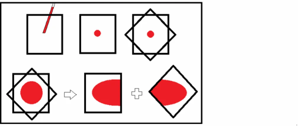 Figura 3 Preparazione striscio ematico con tecnica del coprioggetti 