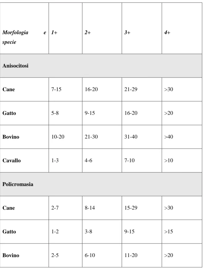 Tabella  1  Schema  semiquantitativo  per  la  valutazione  delle  alterazioni  morfologiche  eritrocitarie  sulla  base  della  media di cellule anormali su campo microscopico monostrato x1000
