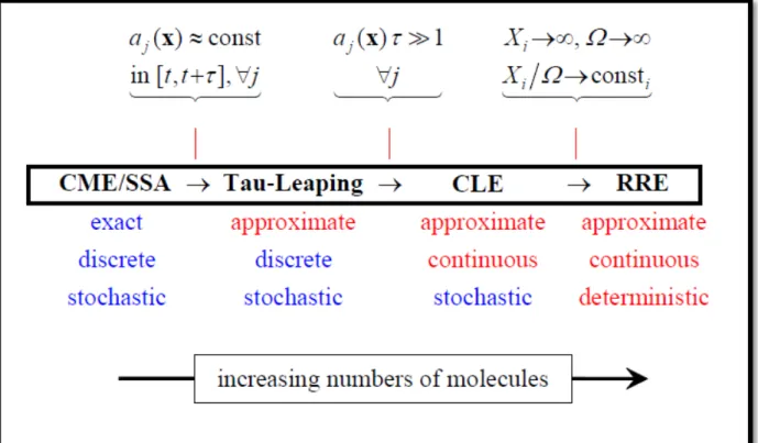 Fig.  6: Different mathematical formulations of chemical systems, with their assumptions and general features