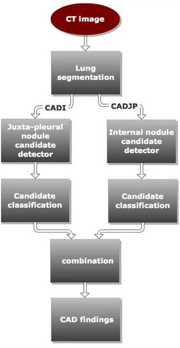 Figure 2.5.3: Flowchart of the CAD sub-systems for internal nodule and juxta-pleural nodule detection.