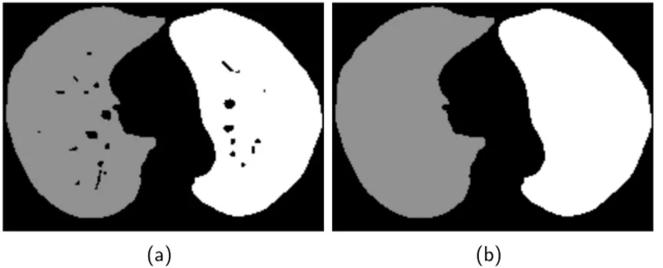 Figure 4.6.1: a) The segmented lung before vessels and airway walls removal b) The segmented lung after vessels and airway walls removal