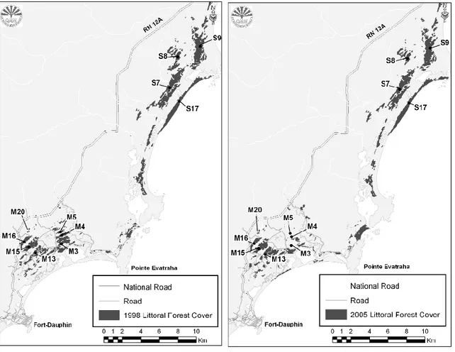 Fig.  3.2:  Forest  fragments  in  Mandena  and  Sainte  Luce  and  and  extent  of  littoral  forest  reduction between 1998 and 2005 (Donati et al., 2007b)
