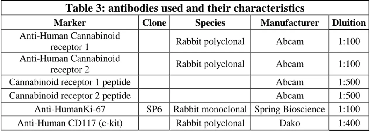 Table 3: antibodies used and their characteristics 