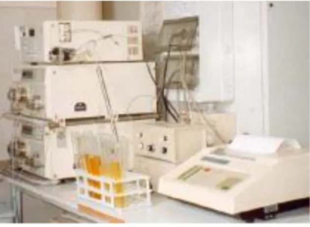 Fig. 5.4 Strumentazione HPLC 