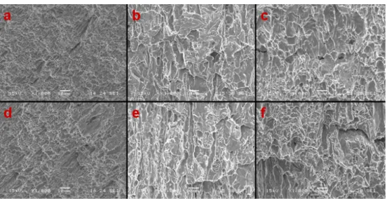 Figure 7. 28: Micrographs of fracture surface of the tested tempcore steels: (a)  skin; (b) B450C-16-TEMP-RIVA skin; (c) B400C