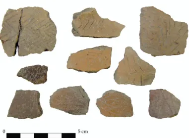 Figura 9: frammenti con decorazione coprente incisa (Fabbri et alii, 2011) 