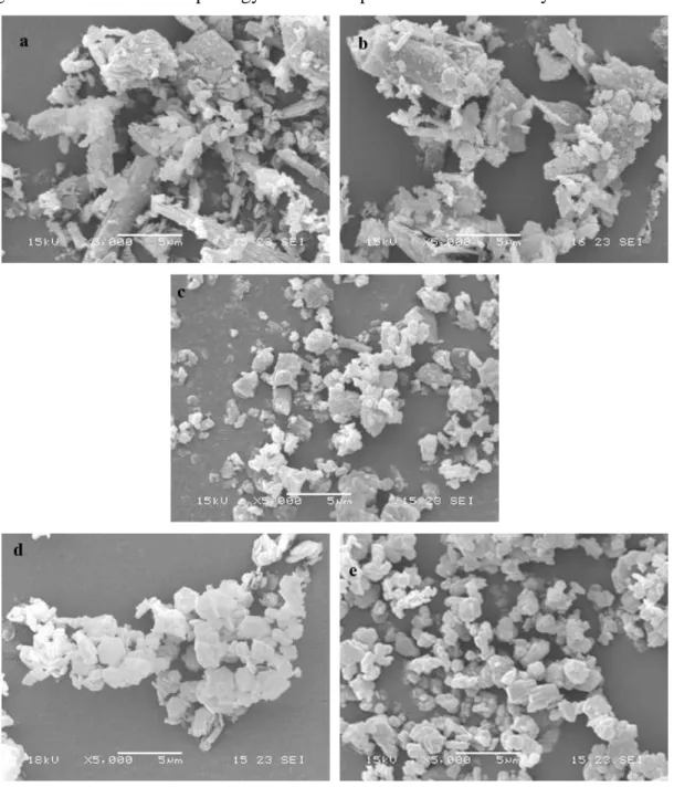 Figure 3.1.1 shows the morphology of the filler particles as observed by SEM. 