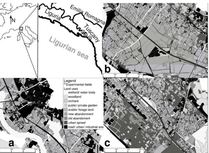 Figure 3 The square in the top-left image represents the macro study-area where the three study areas (a, b  and c, see the top-middle figure) are located; aerial photos and maps were used to digitize the landscapes  surrounding the 21 chosen fields (white