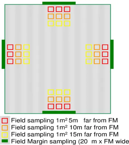 Figure 4 Sampling scheme adopted to monitor standing vegetation, seed bank and soil characteristics in the  21 chosen fields