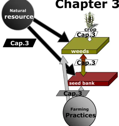 Figure 7: Structure of Chapter 3 in relation to the theoretical framework. 