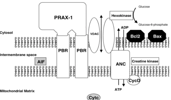 Figure 4.  Schematic structure of the MPTP. 14