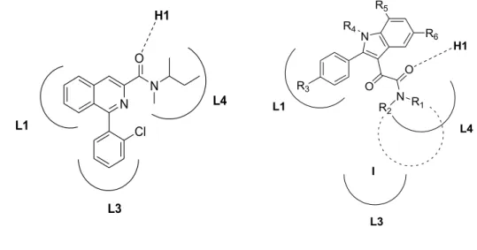 Figure 10. TSPO pharmacophore/topological model. 