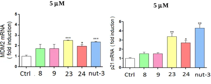 Figure 21. Increase of mRNA levels for MDM2 or p21 ofter treatment with compounds 8, 9, 23 