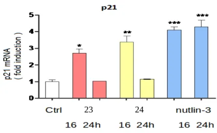 Figure 25. Increase of mRNA levels for p21 after treatment with compounds 23 and 24.