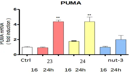 Figure 26. Increase of mRNA levels for PUMA after treatment with compound 23 and 24.