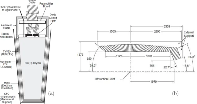 Figure 2.19: (a) Schematic view of one EMC crystal module. (b) Longitudinal cross section of the EMC (only the top half is shown)