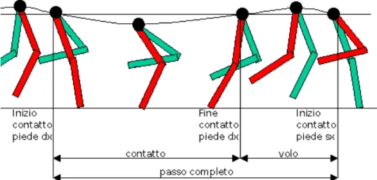 Figura 2.1: Fasi del passo di corsa