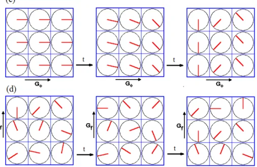 Figura I. 10 (c) Il gradiente lungo y viene applicato in un primo momento e cambia la fase della magnetizzazione  in  funzione  della  posizione  y