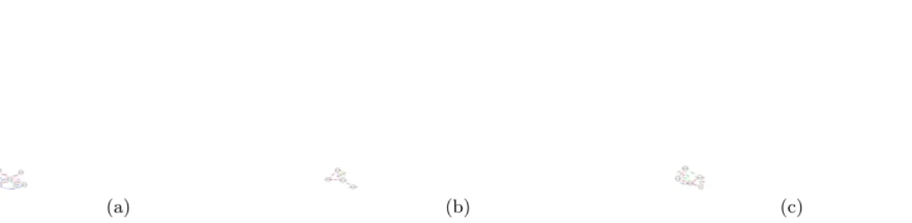 Figure 5.2: Small extracts of the three real multidimensional networks.