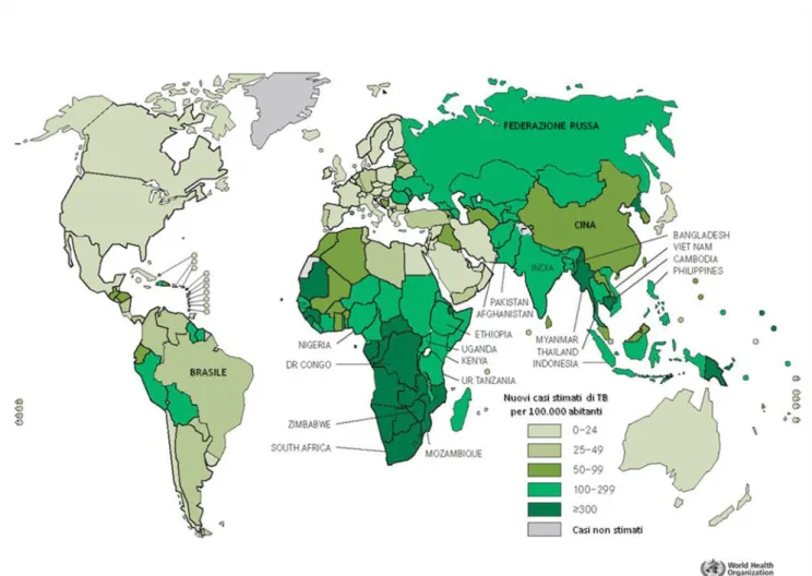 Figura 1. Incidenza mondiale della TB nel 2010 (modificata da OMS, 2011) 