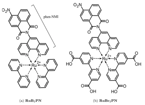 Figure 1.4: Dyes used in this work. RuB 2 PN the Ru 
omplex with an a

epting group ligand,