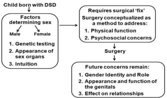 Figura 1  Percezioni di genitori e le esperienze con il processo decisionale di DSD  (assegnazione di genere e chirurgia genitale)