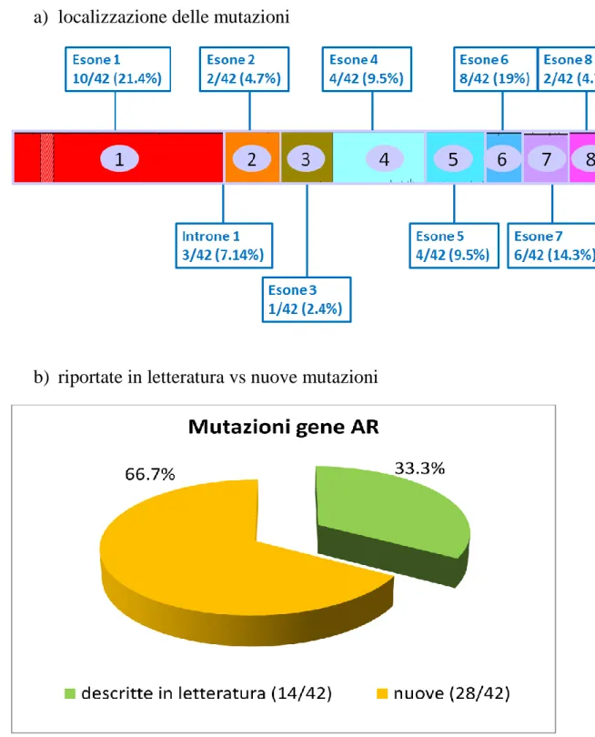 Figura 7. Mutazioni gene AR. 