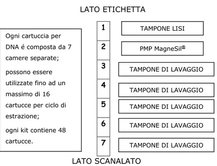 Figura  9  –  Schema  cartuccia  di  estrazione  Maxwell ®   (suddivisa  in  7  camere) 