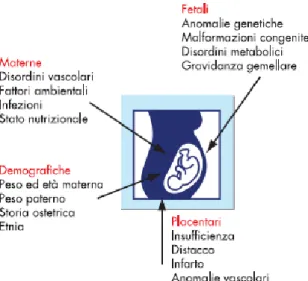 Figura 1: Principali cause di ritardo di crescita intrauterino (3). 