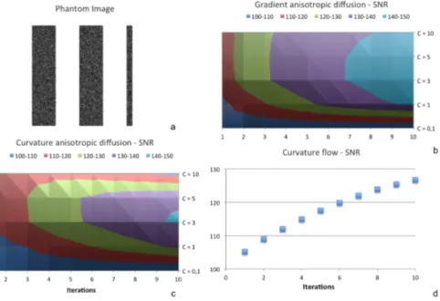 Figure 1.3: Edge preserving filter performance analysis - Analysis of EP ﬁlters performances on a phantom image (a): gradient anisotropic diﬀusion (b), curvature anisotropic diﬀusion (c), and curvature ﬂow (d)