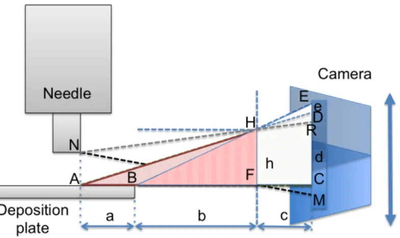 Figure 2.6: pCam scheme - pCam scheme for the calculation of the perspective error
