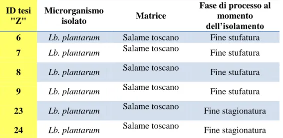 Tab. 2  Ceppi di L. plantarum, collezione Sezione di Pisa, IZSLT. 