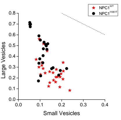 Figure  3.5-  Distribution  in  small  and  large  vesicles.  For  each  cell  we  calculated  the  proportion  of  cell  surface  which  is  occupied  either  by  large  vesicles  or  by  small  vesicles