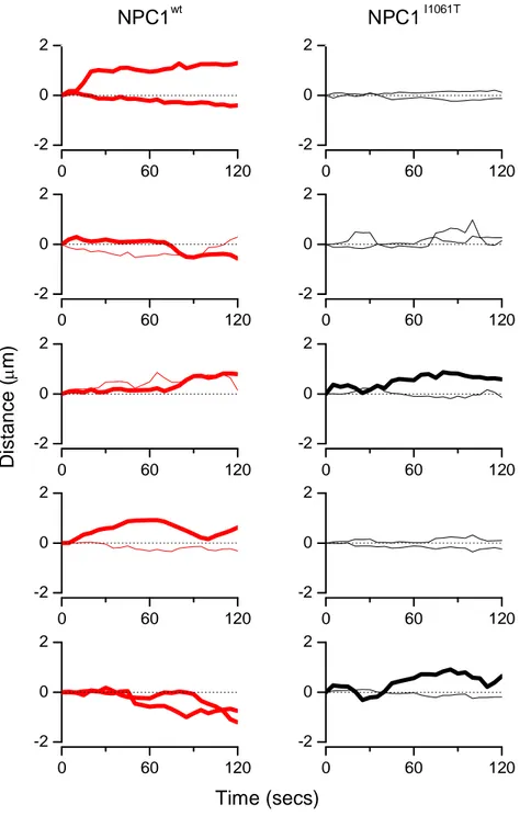 Figure  3.7  -  Vesicle  Trajectory  along  the  main  axis  of  drift  is  plotted  as  function  of  time