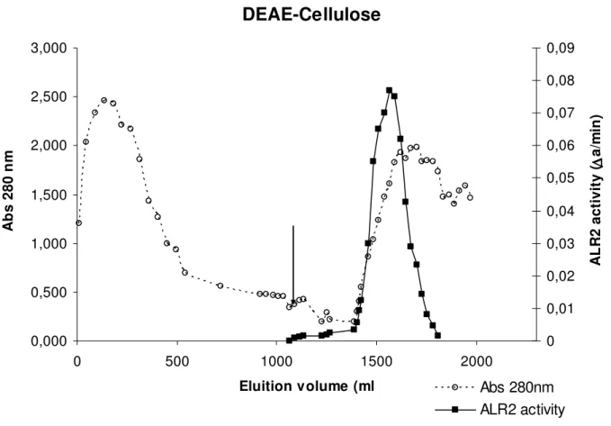 Fig. 4.7A - elution profile of DE-52 chromatography: The absorbance at 280 nm (-- o --), the   enzymatic activity (  -∆A/min-) and the beginning of the non-linear gradient(           )           are reported