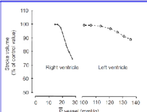 Fig 2. Risposta al sovraccarico pressorio del VDx e VSx ( 9 ) 