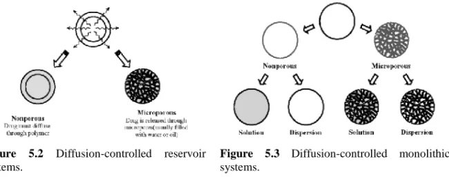 Figure 5.3 Diffusion-controlled  monolithic systems.