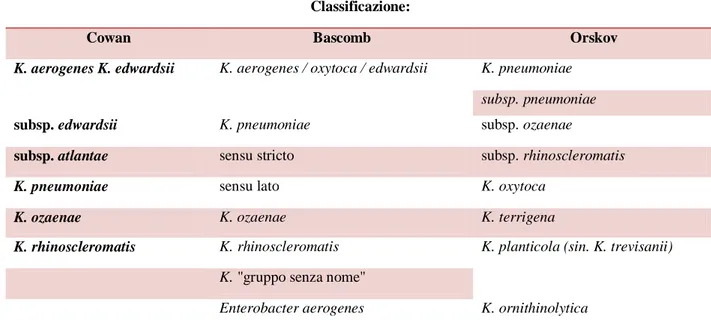 Tabella 1. Classificazione delle specie del genere da Klebsiella con diversi sistemi tassonomici