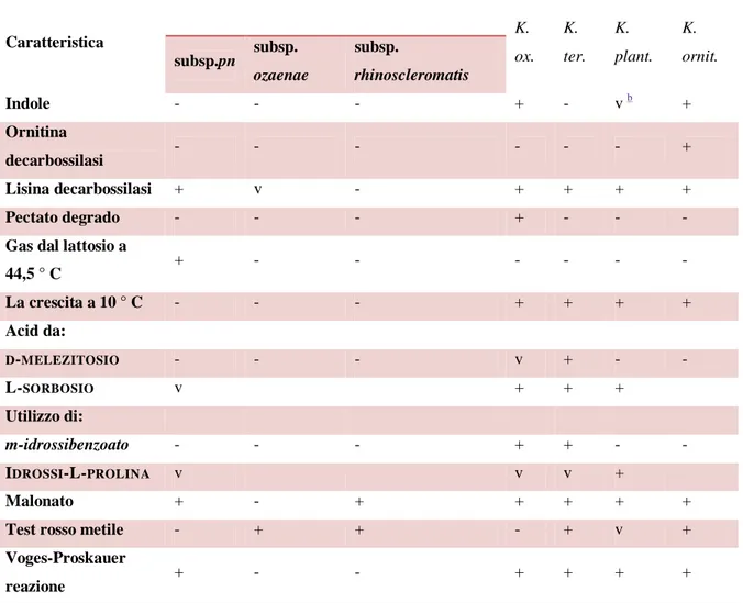 Tabella 2. Reazioni biochimiche di Klebsiella spp.