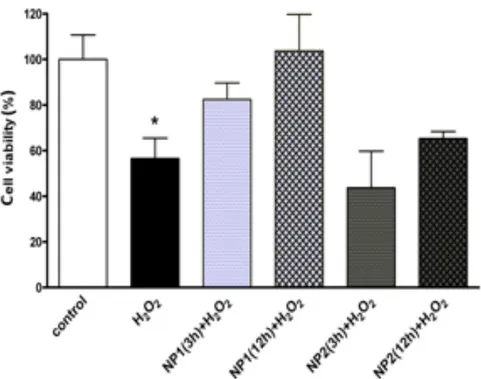 Figura 5: Effetti delle nanoparticelle sullo stress ossidativo. Le EPC sono state pretrat- pretrat-tate con nanoparticelle N + –rCh(60 ◦ )-SH/rHA (NP1) o N + –rCh(50 ◦ )-SH/rHA (NP2) per 3 o 12 h e quindi incubate con H 2 O 2 per 1 h