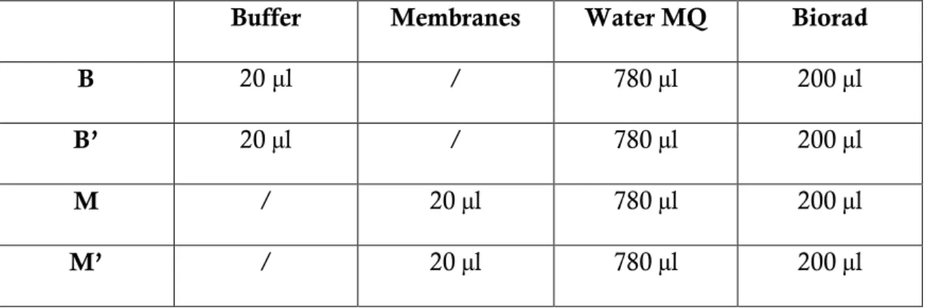 TABLE 3: Preparation protein assay 