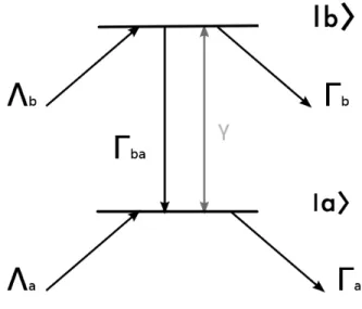 Figure 2.1. Open two level system. Γ a,b are the population decay rates to the external states for the respective levels