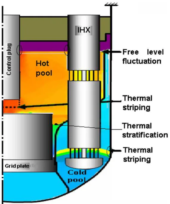 Fig. 29 – Aree in cui è possibile trovare fluttuazioni del pelo libero del  liquido, Thermal striping e stratificazione termica negli SFRs