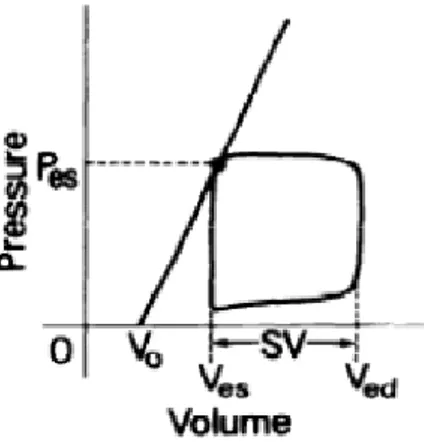 Figura 4 Retta dell ESPVR (end systolic pressure volume relationship) che  intercetta nel punto V0 l’asse dle volume e che descrive l’elastanza di fine  eiezione del ventricolo sinistro indice di contrattilità