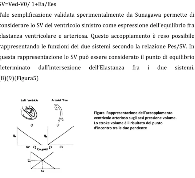 Figura  Rappresentazione dell’accoppiamento  ventricolo arterioso sugli assi pressione volume