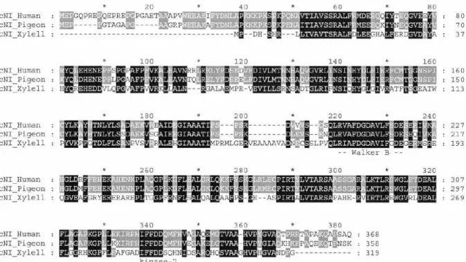 Figure  1.2.1.1  Alignment  of  human,  pigeon  and  X.  fastidiosa  cN-I  amino  acid  sequences
