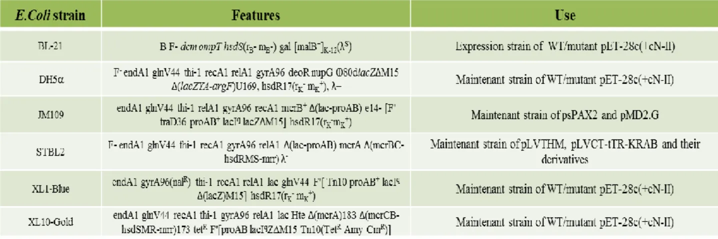 Table 2.1.2.1: E.coli strains used for transformation. 
