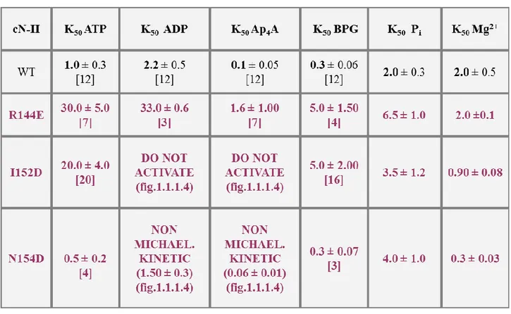 Table 1.1.1.2: Hypothetic effector site 1. Effect of point mutations on various kinetic parameters of bovine recombinant  cN-II