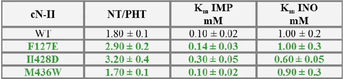 Table  1.1.1.3:  Hypothetic  effector  site  2.  Effect  of  point  mutations  on  K m   value  of  bovine  recombinant  cN-II